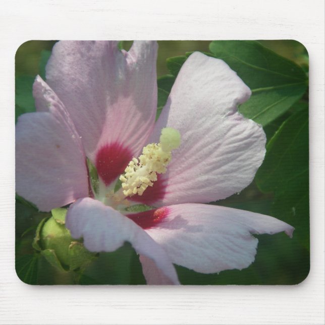 Beautiful Pink Flower Mousepad (Front)