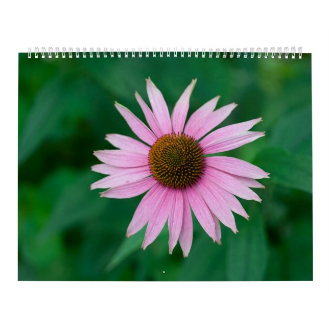 Beautiful Pink Flowers Calendar (Cover)