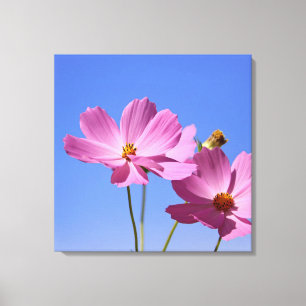 beautiful pink flowers hugging a clear blue sky canvas print