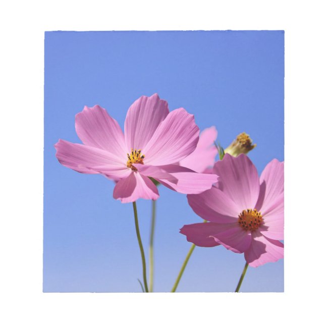 beautiful pink flowers hugging a clear blue sky notepad (Front)