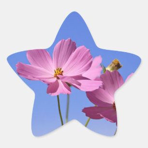 beautiful pink flowers hugging a clear blue sky star sticker