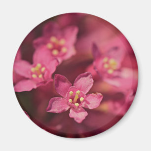 Beautiful Pink Flowers Magnet