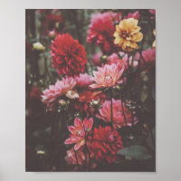 Beautiful Pink Flowers Photo in Autumn