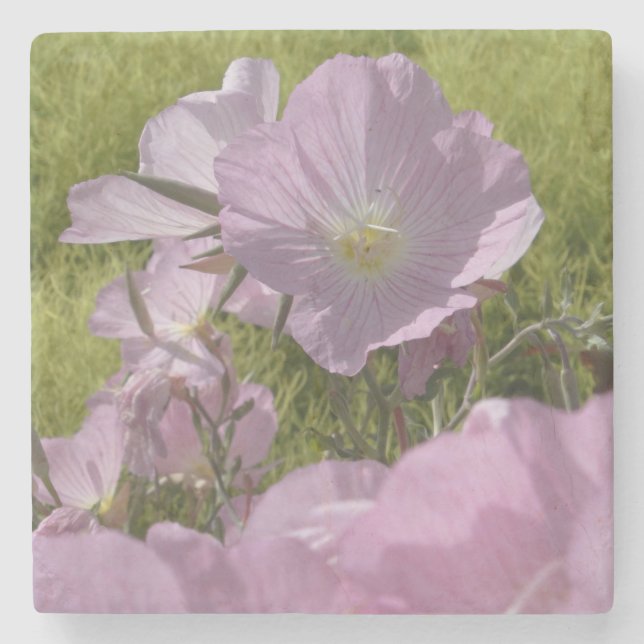 Beautiful Pink Flowers Photo Marble Stone Coaster (Front)
