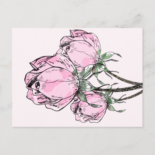 Beautiful Pink Hand Drawn Roses Postcard (Front)