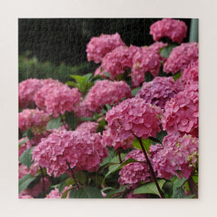 Beautiful pink hydrangea flowers jigsaw puzzle