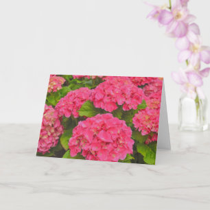 Beautiful Pink Hydrangea Garden Flower Art Card