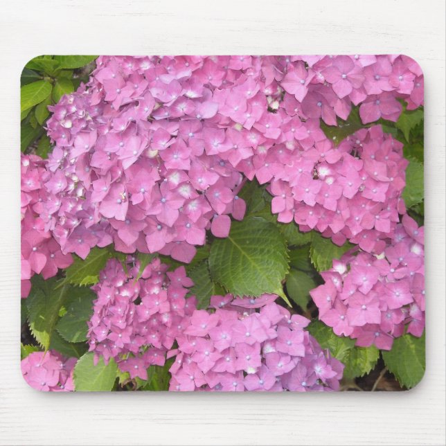 Beautiful Pink Hydrangeas Mouse Mat (Front)