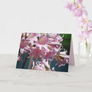 Beautiful Pink Lilies Card