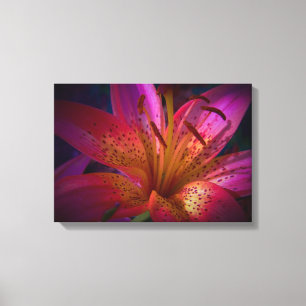 Beautiful Pink Lily Canvas Print