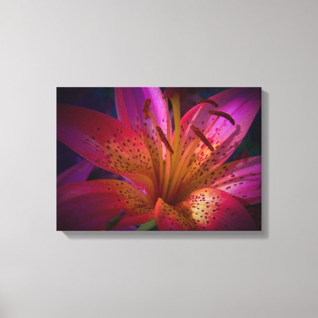 Beautiful Pink Lily Canvas Print (Front)