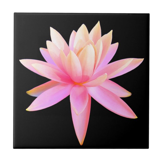Beautiful Pink Lily Lotus Fine Art Tile (Front)