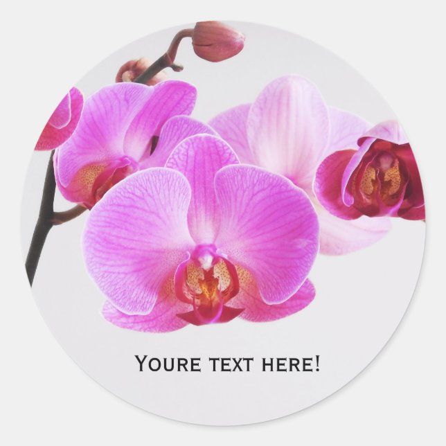 Beautiful Pink Orchids Classic Round Sticker (Front)