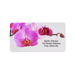 Beautiful Pink Orchids Label