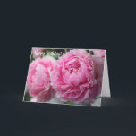 Beautiful Pink Peony Birthday Card<br><div class="desc">Peonies are said to symbolize a happy life and a happy marriage. This peony is a beautiful shade of pink and the bloom was 6" across! A late Spring and early Summer blooming flower, peonies are a great addition to any floral garden. Customize this card on the front with your...</div>
