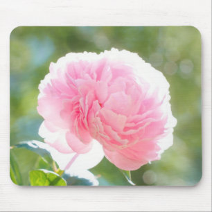Beautiful Pink Peony Flower in Sunlight Mouse Mat