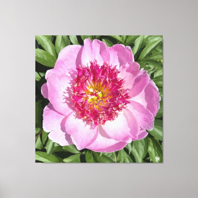 Beautiful pink peony on canvas. canvas print (Front)