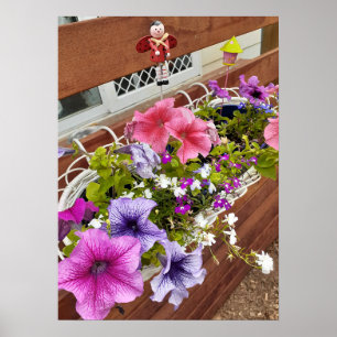 Beautiful Pink Petunia Fairy Flower Garden Poster