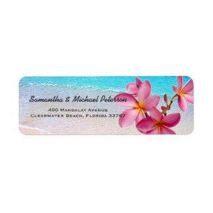 Beautiful Pink Plumeria Flowers Beach