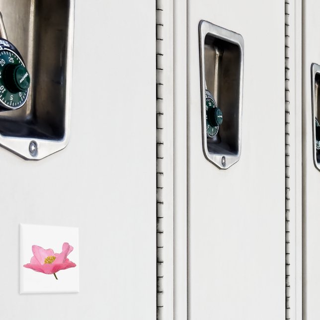 Beautiful Pink Poppy Photograph Close-up Magnet (In Situ (Locker))