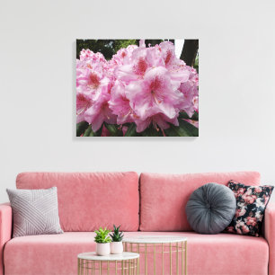 Beautiful Pink Rhododendron Blooms Floral Canvas Print
