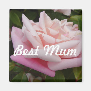 Beautiful Pink Rose Best Mum Flower Design Magnet