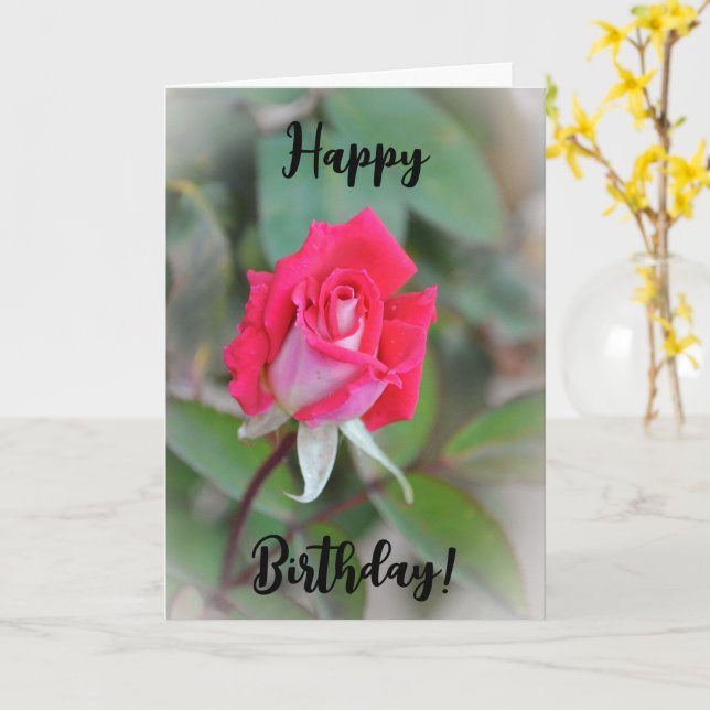 Beautiful Pink Rose Bud Birthday Card (Yellow Flower)