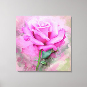 Beautiful Pink Rose Canvas Print