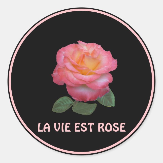 Beautiful Pink Rose Classic Round Sticker (Front)