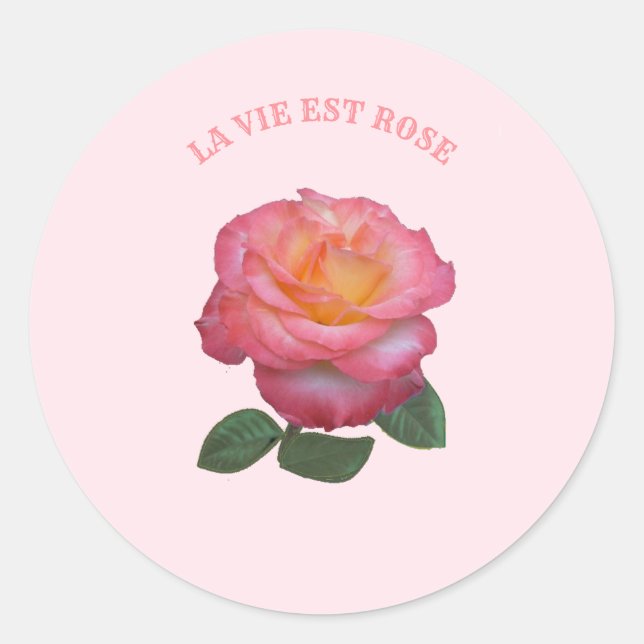 Beautiful Pink Rose Classic Round Sticker (Front)