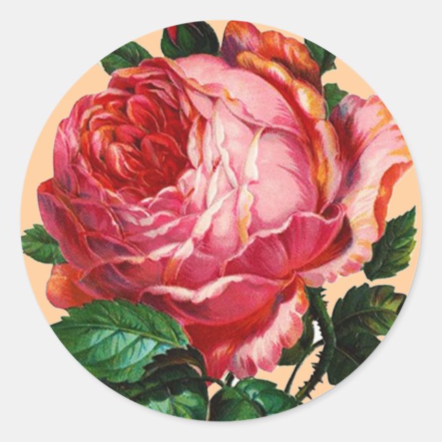 BEAUTIFUL PINK ROSE CLASSIC ROUND STICKER (Front)