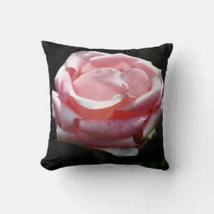 Beautiful Pink Rose Close-up Cushion