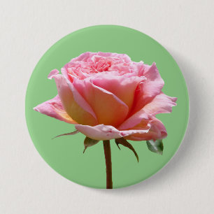 Beautiful Pink Rose Close Up Cust. BG Button