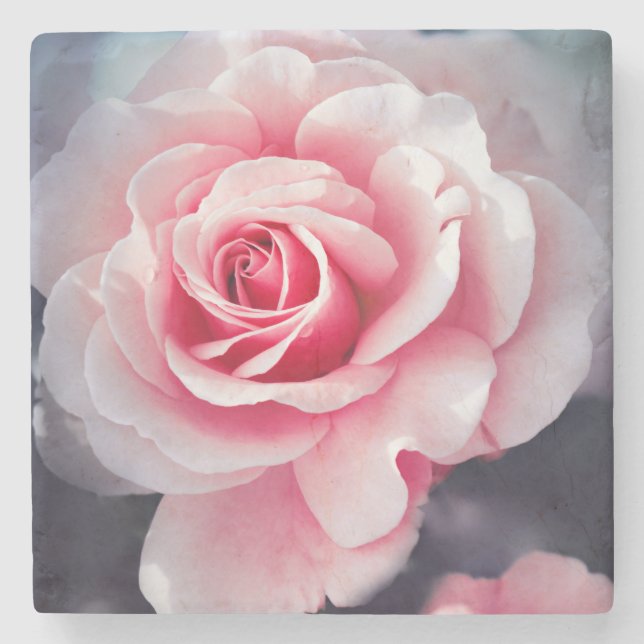 Beautiful Pink Rose Floral Photo Stone Coaster (Front)
