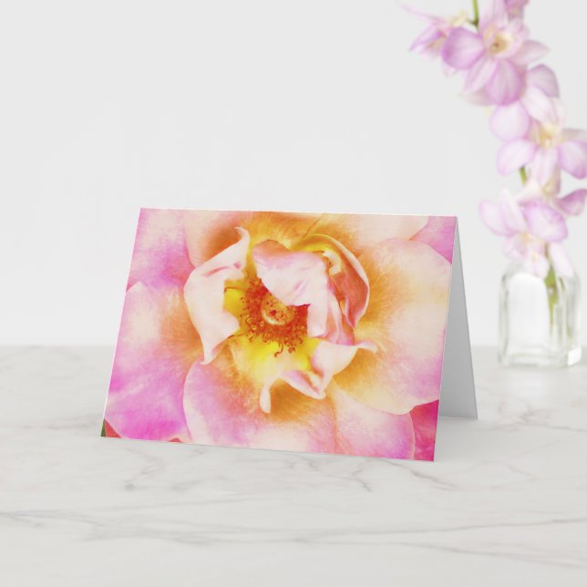 Beautiful Pink Rose Flower Close Up Art Note Card (Orchid)