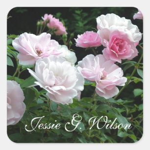 beautiful pink rose flowers personal name stickers