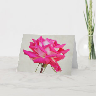 Beautiful Pink Rose in Bloom Art Note Card