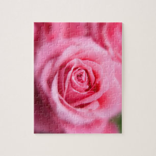 Beautiful Pink Rose Jigsaw Puzzle