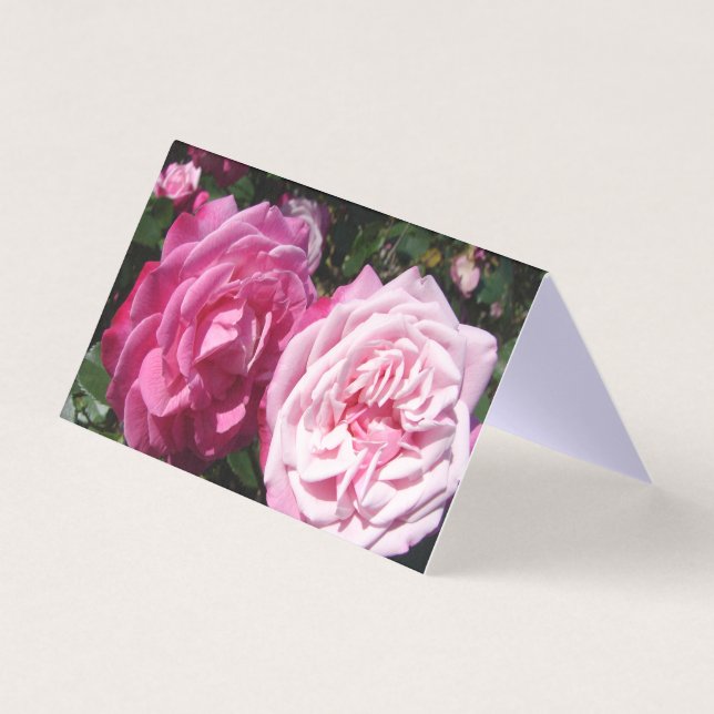 Beautiful Pink Rose Love Greetings Card (Front)