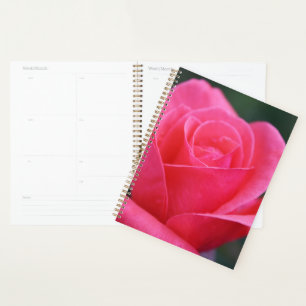 Beautiful Pink Rose Macro Photograph Planner