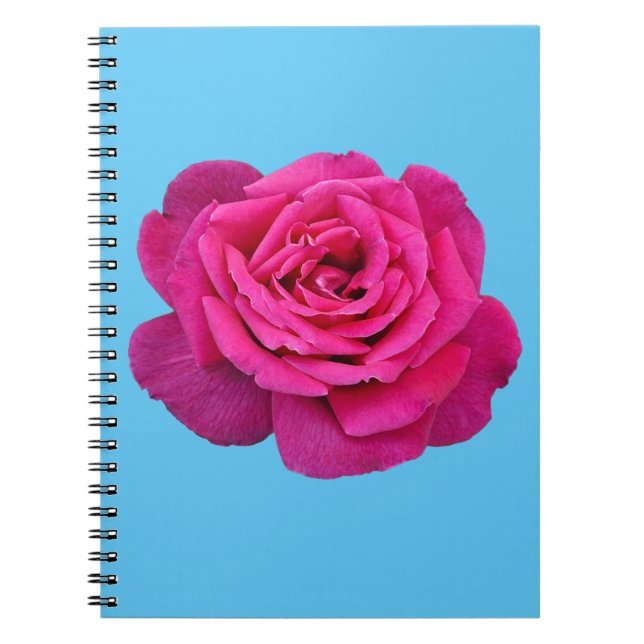 Beautiful pink rose notebook (Front)
