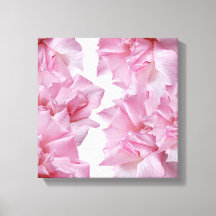 Beautiful pink rose petal floral abstract