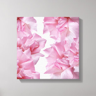 Beautiful pink rose petal floral abstract canvas print