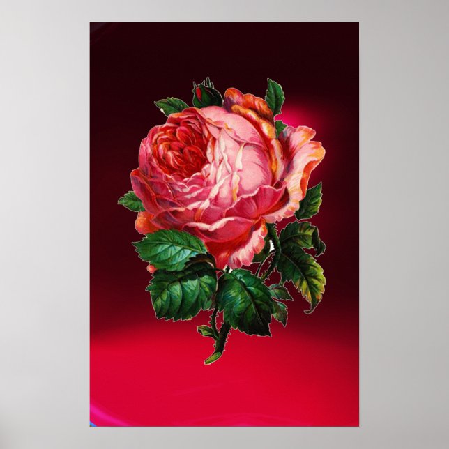 BEAUTIFUL PINK ROSE POSTER (Front)
