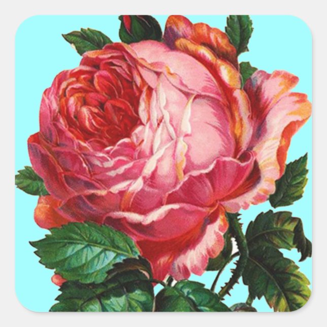 BEAUTIFUL PINK ROSE SQUARE STICKER (Front)