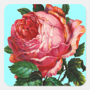 BEAUTIFUL PINK ROSE SQUARE STICKER