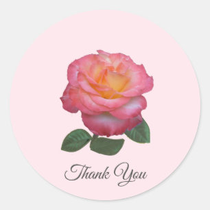 Beautiful Pink Rose Thank You Classic Round Sticker