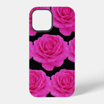 Beautiful pink roses