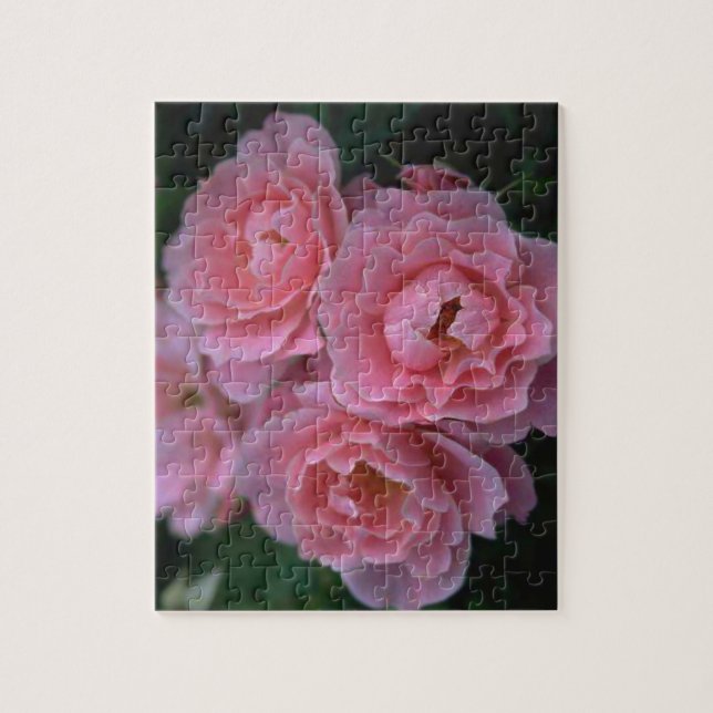 Beautiful Pink Roses Jigsaw Puzzle (Vertical)