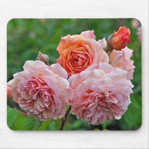 Beautiful pink roses mouse mat